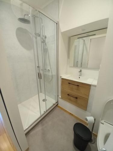 une salle de bain avec douche et lavabo dans l'établissement Le duplex Cornadore, à Saint-Nectaire