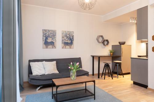 タルトゥにあるCozy Riia kvartal apartment with free parking and air conditioningのソファとテーブルのあるリビングルーム