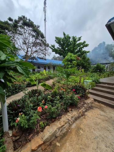 a garden with flowers and plants in front of a building at BUNGALOW HOTEL in Con Dao