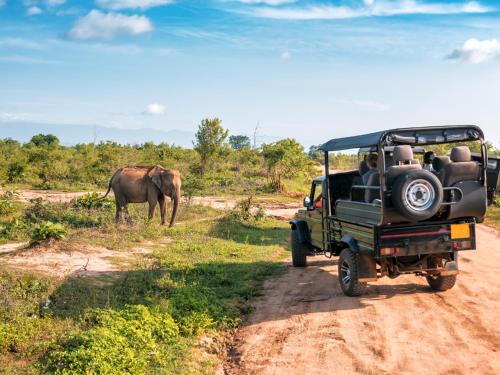a jeep driving down a dirt road with an elephant at eKhaya Bush Lodge in Hoedspruit