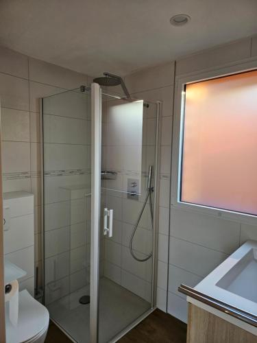 a bathroom with a shower and a toilet and a sink at Gîte Les mouettes qui caquètent in Moëlan-sur-Mer