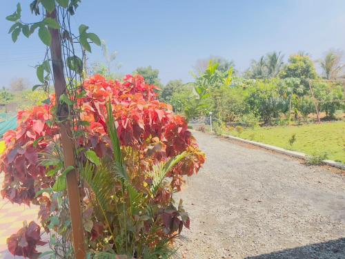 einen Busch mit roten Blumen am Straßenrand in der Unterkunft Nirvana Paradise in Badlapur