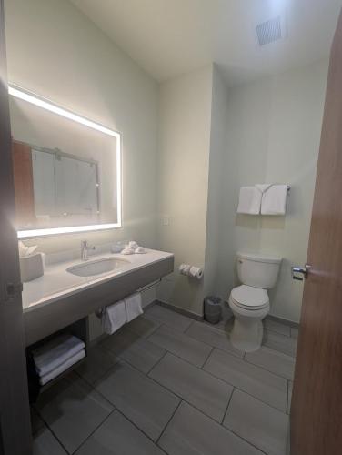 a bathroom with a sink and a toilet and a mirror at Holiday Inn Express Hotel & Suites Loveland by IHG in Loveland