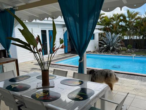 a table with a cat standing next to a pool at Au Bel'vue chez Sandrine "Gite & Chambre d'hôtes" in Le Moule