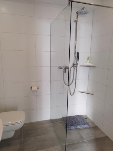 a bathroom with a shower and a toilet at Moderne Ferienwohnung mit privatem Eingang - ROSA in Kalletal