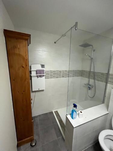 une salle de bain avec une douche avec un lavabo et des toilettes dans l'établissement 2 pièces neuf, au coeur de ville 37m2, au Creusot