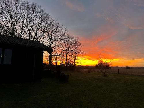 a sunset in a field with a house and trees at Hyggelig hytte - perfekt til par in Hundested