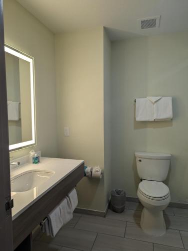 a bathroom with a sink and a toilet and a mirror at Holiday Inn Express Hotel & Suites Loveland by IHG in Loveland
