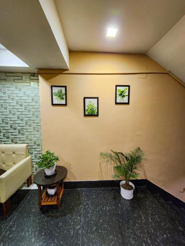 a living room with two potted plants and a couch at Arcadian Hotel in Gangtok