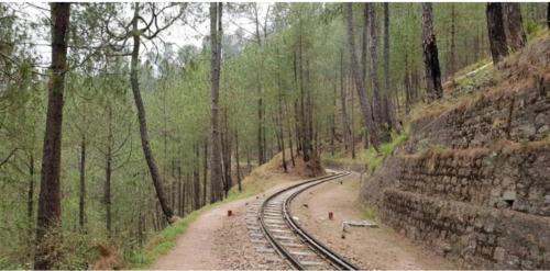 a train track in the middle of a forest at Exotic Stays I The Pine Trails I Serviced Apartments I Toy Train View I Best Seller I Guaranteed Best Price I Kasauli in Kasauli