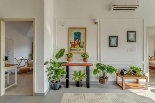 a living room with potted plants and a table at Casa De Solares- New 2BHK Apartment with Pool Candolim in Pilerne