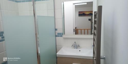 Saint-Julien-le-Vendômoisにあるpetite maisonetteの洗面台と鏡のあるバスルーム