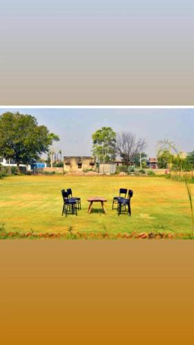 two chairs and a picnic table in a field at Ranthambore Bagh niwas in Khilchipur