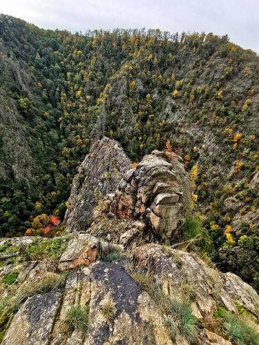 a view from the top of a mountain with trees at Pension im Tal der Stille in Treseburg