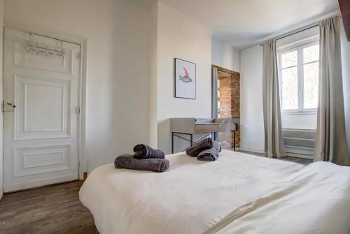 Le petit Strasbourg hypercentre