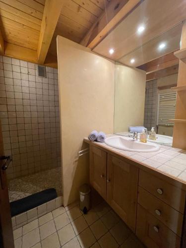 une salle de bain avec un lavabo et une douche dans l'établissement Le Doux Refuge, à Les Allues