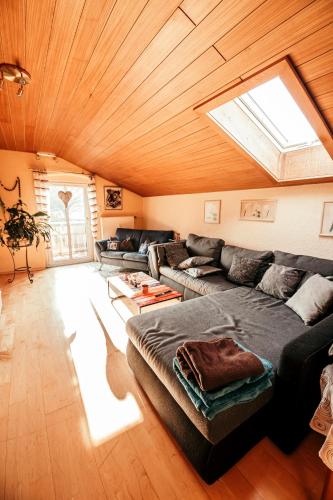 a living room with a couch and a skylight at Ferienwohnungen Hauner in Viechtach