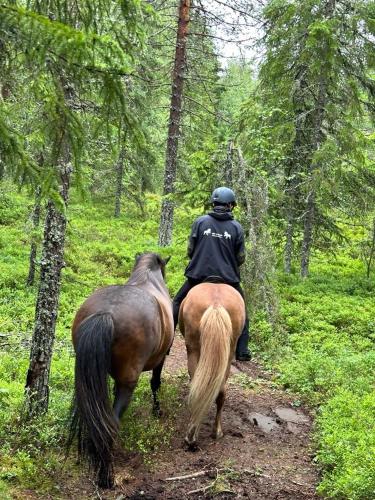 a person riding a horse in the woods at Lilla Vrån in Lerbäcken