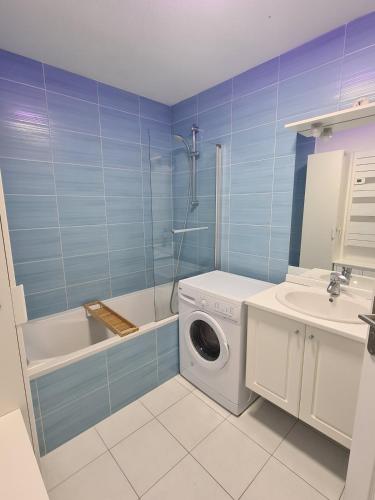 une salle de bain avec une machine à laver et un lavabo dans l'établissement O'fil du Doubs Apartment, à Labergement-Sainte-Marie
