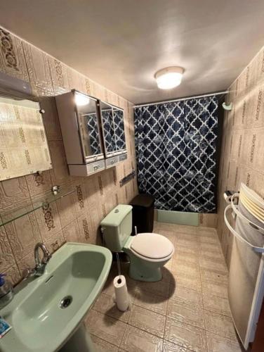 La salle de bains est pourvue de toilettes vertes et d'un lavabo. dans l'établissement Appartement centrale, à Tende