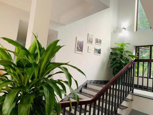 Gambar di galeri bagi Kieu Anh Hotel Phu Tho di Thanh Sơn
