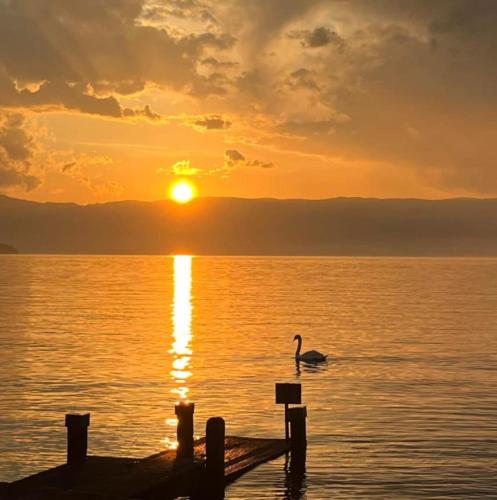 Les bord du Lac Leman