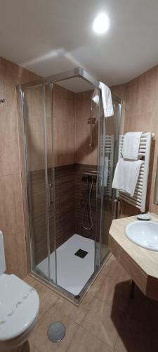 a bathroom with a shower and a toilet and a sink at Hotel Santa Isabel in Toledo