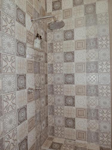 a bathroom with a shower with tiles on the wall at The Wild Olive Sanctuary Accommodation in Paterson
