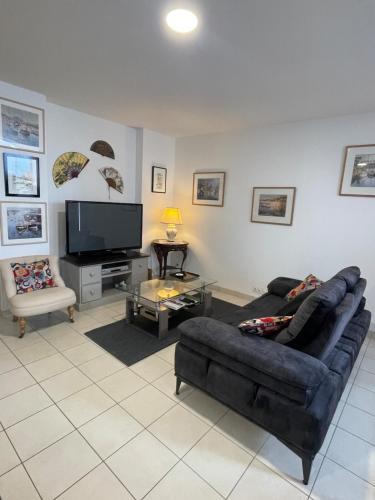a living room with a couch and a tv at Chaleureux appartement sur Brest in Brest