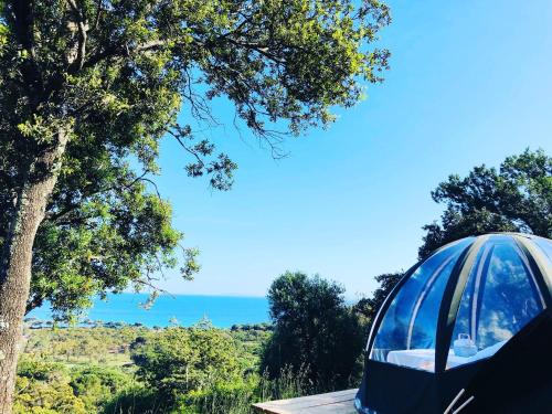 Photo de la galerie de l'établissement Palom'bolla, à Porto-Vecchio