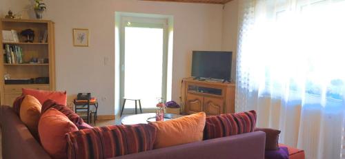 a living room with a couch and a television at Gîte du cerf in Birkenwald