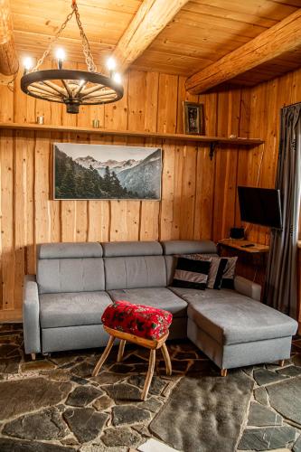 a living room with a couch and a tv at Miętowa Osada Czerwienne in Ciche