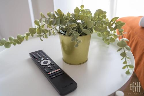 une télécommande assise à côté d'une installation en pot sur une table dans l'établissement Jupiter - Proche A10 - 2V - Parking, à Saint-Pierre-des-Corps