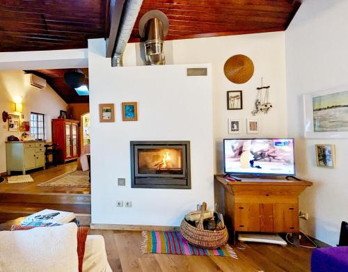 TV a/nebo společenská místnost v ubytování Casa do Paço Aveiro HolidayHome