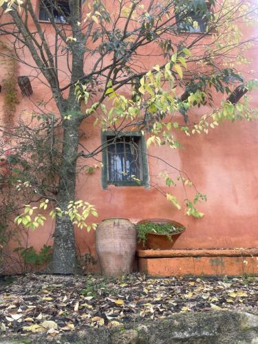 a tree in front of a building with a window at Maset del Riu in Valderrobres