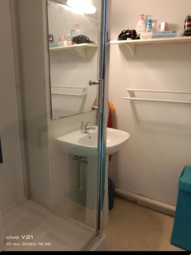 une salle de bain avec un lavabo et une douche avec un miroir dans l'établissement Appartement lumineux, à Arzal