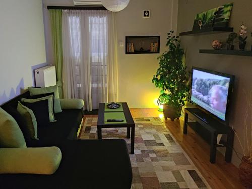 Cozy City Center Apartment