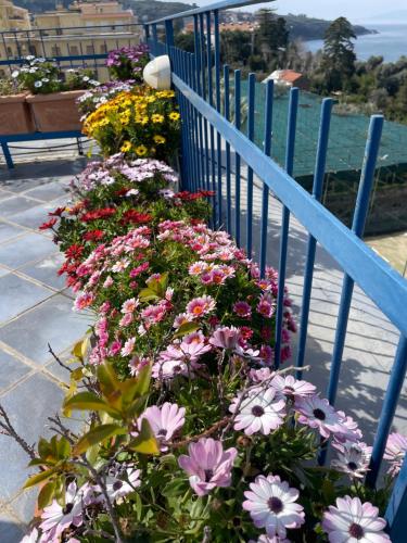 a bunch of flowers on a blue railing at Sea&Skyview in Sorrento