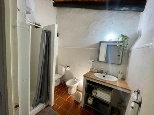 ein kleines Badezimmer mit Toilette und Waschbecken in der Unterkunft La Plaza in Zufre