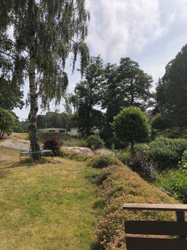 a park with a bench and a tree at Beach cabin Eiketun in Larvik