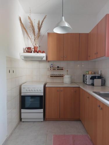 a kitchen with wooden cabinets and a white stove top oven at Stavros Oak Tree House in Vasilópoulon