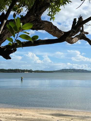 a view of a beach with a person in the water at A & L Resort - Sea & Mountain View in Looc