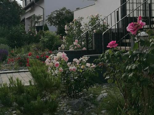 a garden of flowers in front of a building at Ferienhaus Auf der Höhe in Kirchhain