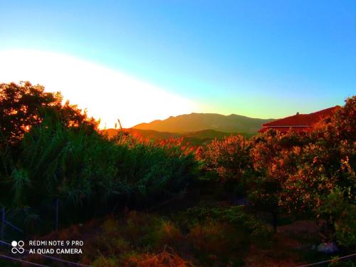 a sunset over a field with trees and mountains at The best view in Zakharo