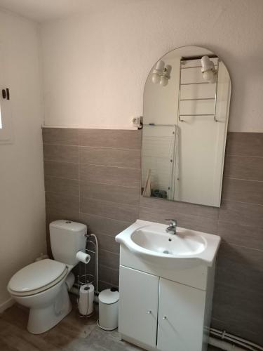 une salle de bain avec toilettes, lavabo et miroir dans l'établissement pied à terre Port Leucate, à Leucate-Plage