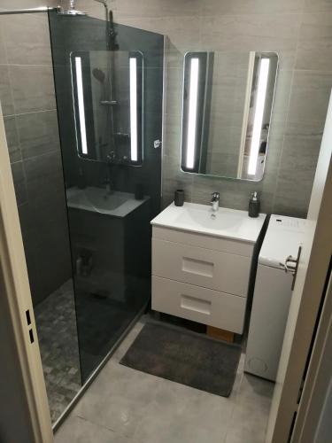 une salle de bain avec un lavabo et une douche avec un miroir dans l'établissement Studio a 3min a pied des plages et proche de Cannes, à Mandelieu-la-Napoule