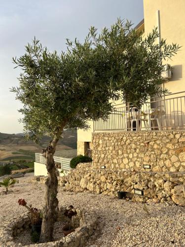 a tree in front of a stone wall at Villa Baglio della Fico a 15 minuti dalla valle dei templi e dal mare in Racalmuto