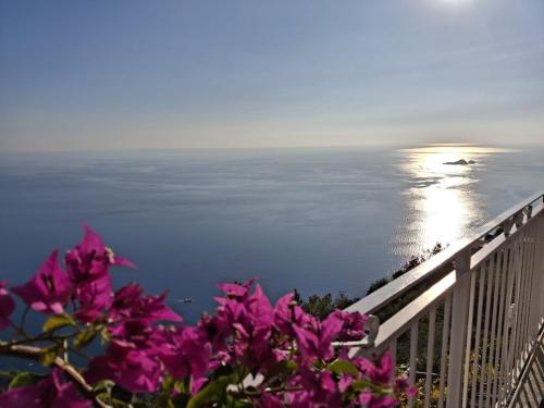 a view of the ocean from a balcony with purple flowers at Villa Antica Macina in Positano