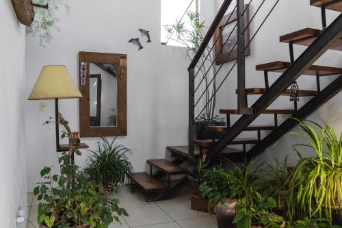 a staircase in a room with plants and a mirror at Océano Puro in José Ignacio