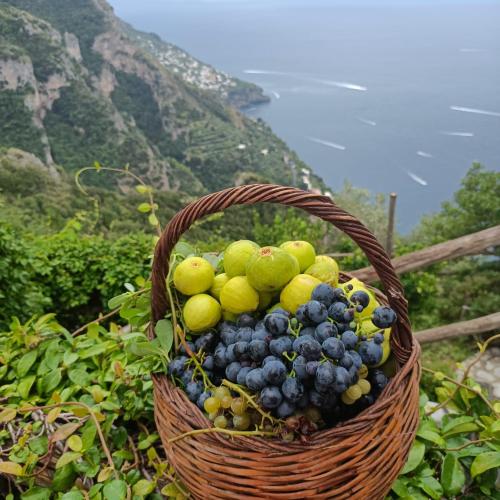 a basket of fruit sitting on top of a mountain at Villa Antica Macina in Positano